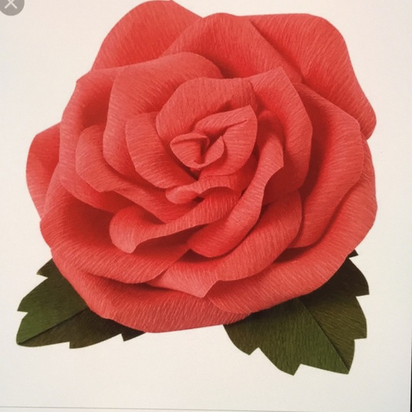 Meet your Posher, Iram - Picture 1 of 1